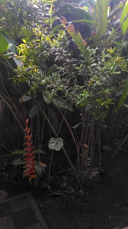Warung Santa Fe&Bungalows Amed Exterior foto